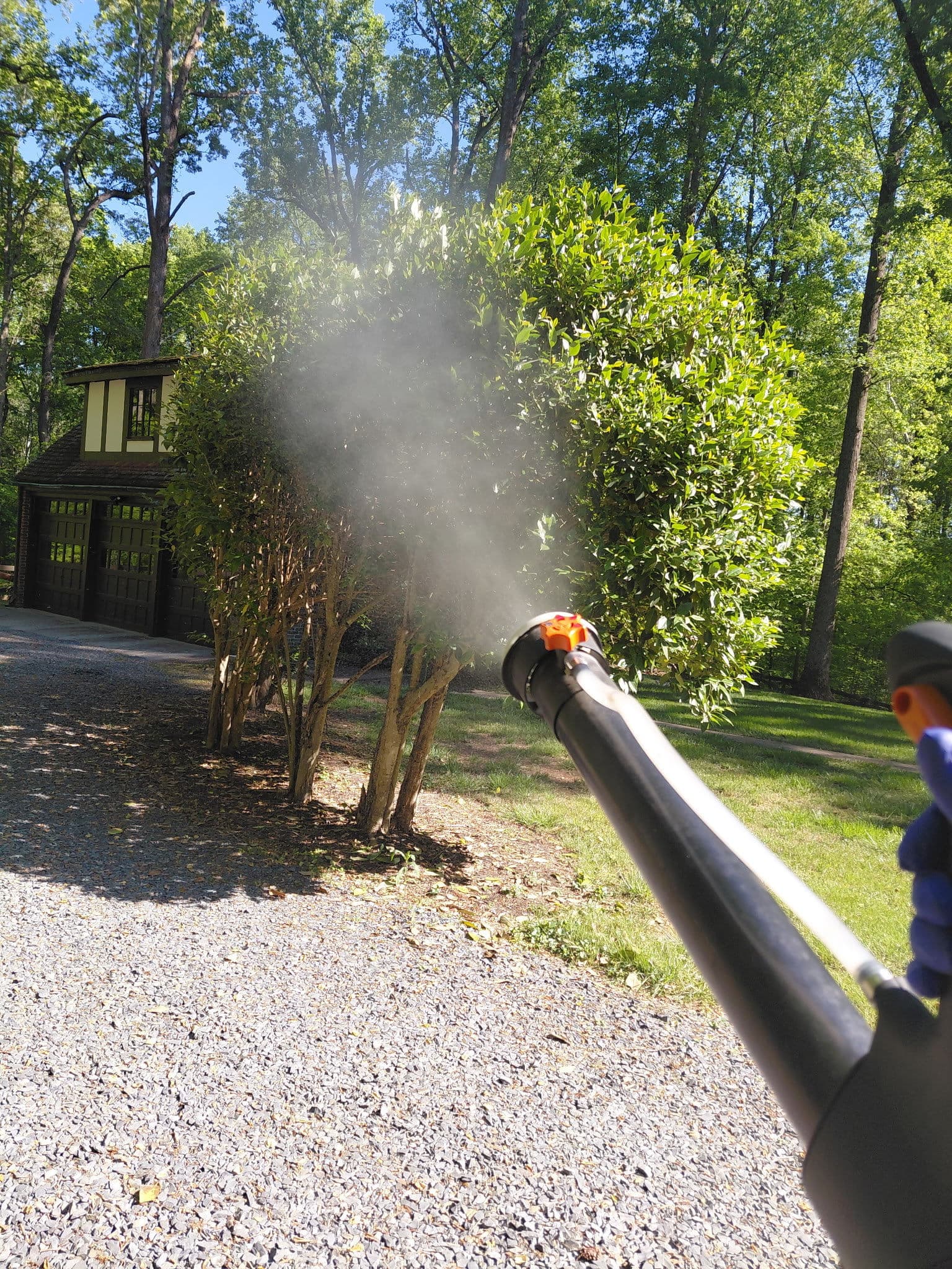 Yard + foundation perimeter